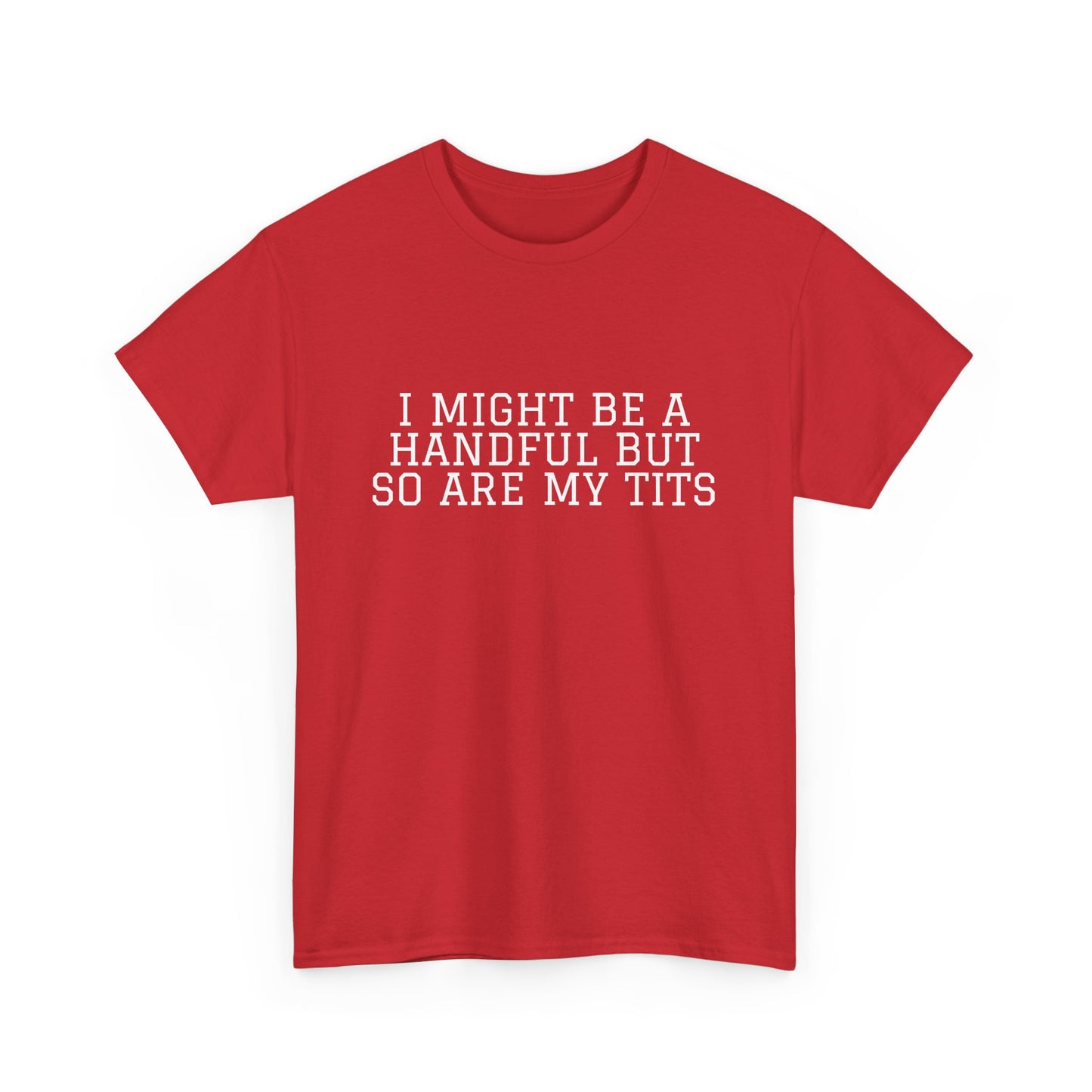 I Might Be A Handful - T-shirt
